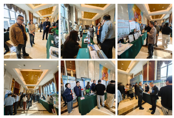 1740982554315477.png 1740982550856.png